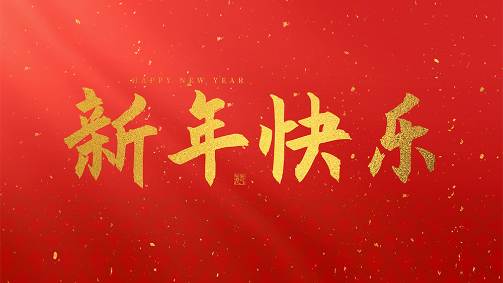 麗水市威儀自動(dòng)化技術(shù)有限公司祝全國(guó)人民2025新年快樂(lè)！